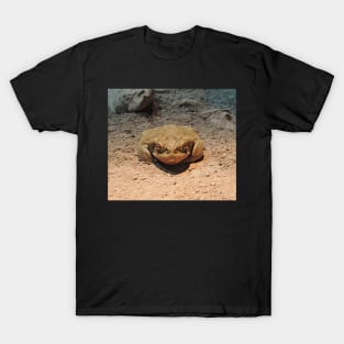 Now, Look Me in the Eyes T-Shirt